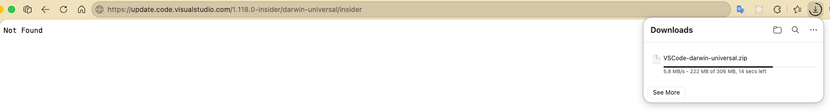 VS Code Insider manually load